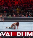 WWE_Royal_Rumble_2019_PPV_720p_WEB_h264-HEEL_mp40681.jpg
