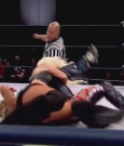TNA_ONO_Knockouts_Knockdown_2015_mp4_002851982.jpg