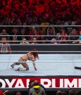 WWE_Royal_Rumble_2019_PPV_720p_WEB_h264-HEEL_mp40678.jpg