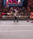 WWE00139.jpg
